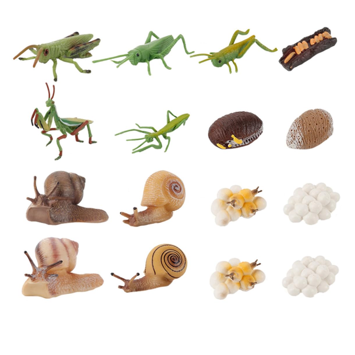 Juego Educativo de Modelos de Juguete de Crecimiento Animal 16 Piezas de Abs para Niños, Simula el Ciclo de Vida de Animales Aula Color Aleatorio