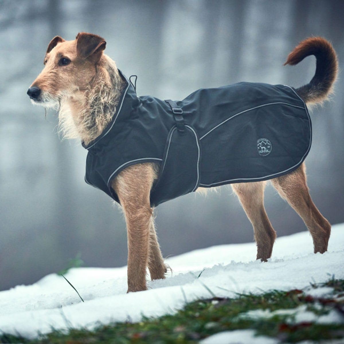 Cappottino per cani Uppsala, 40 cmnero