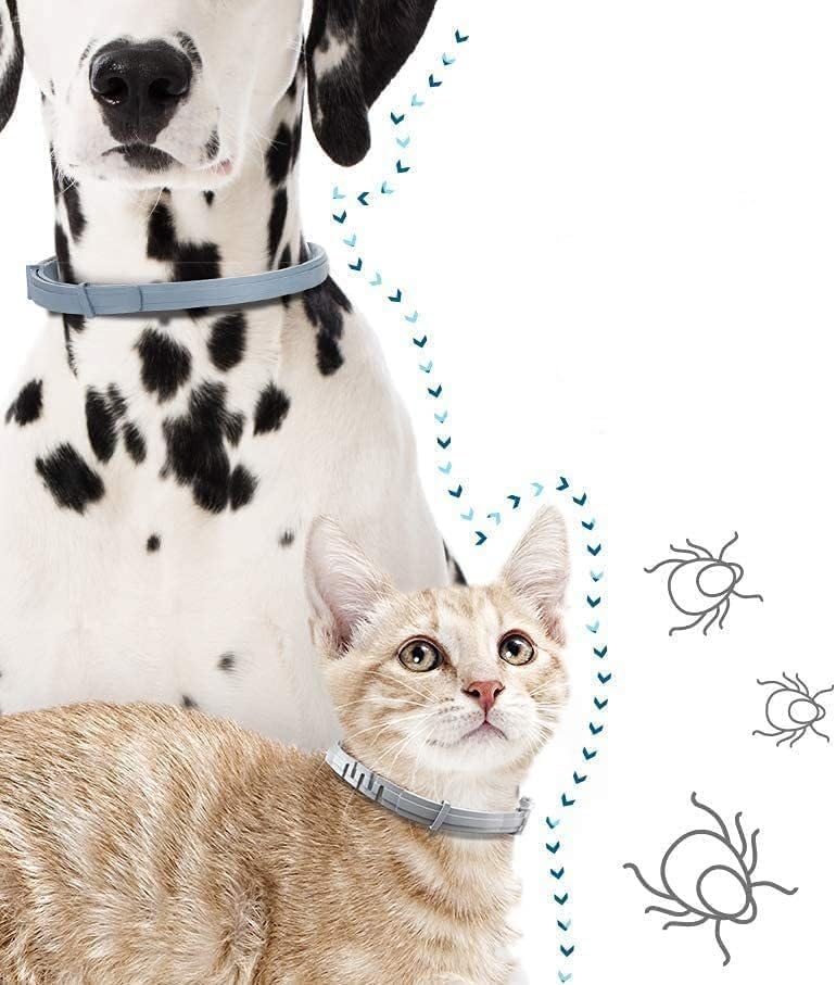 Mascotas, Imagen adicional
