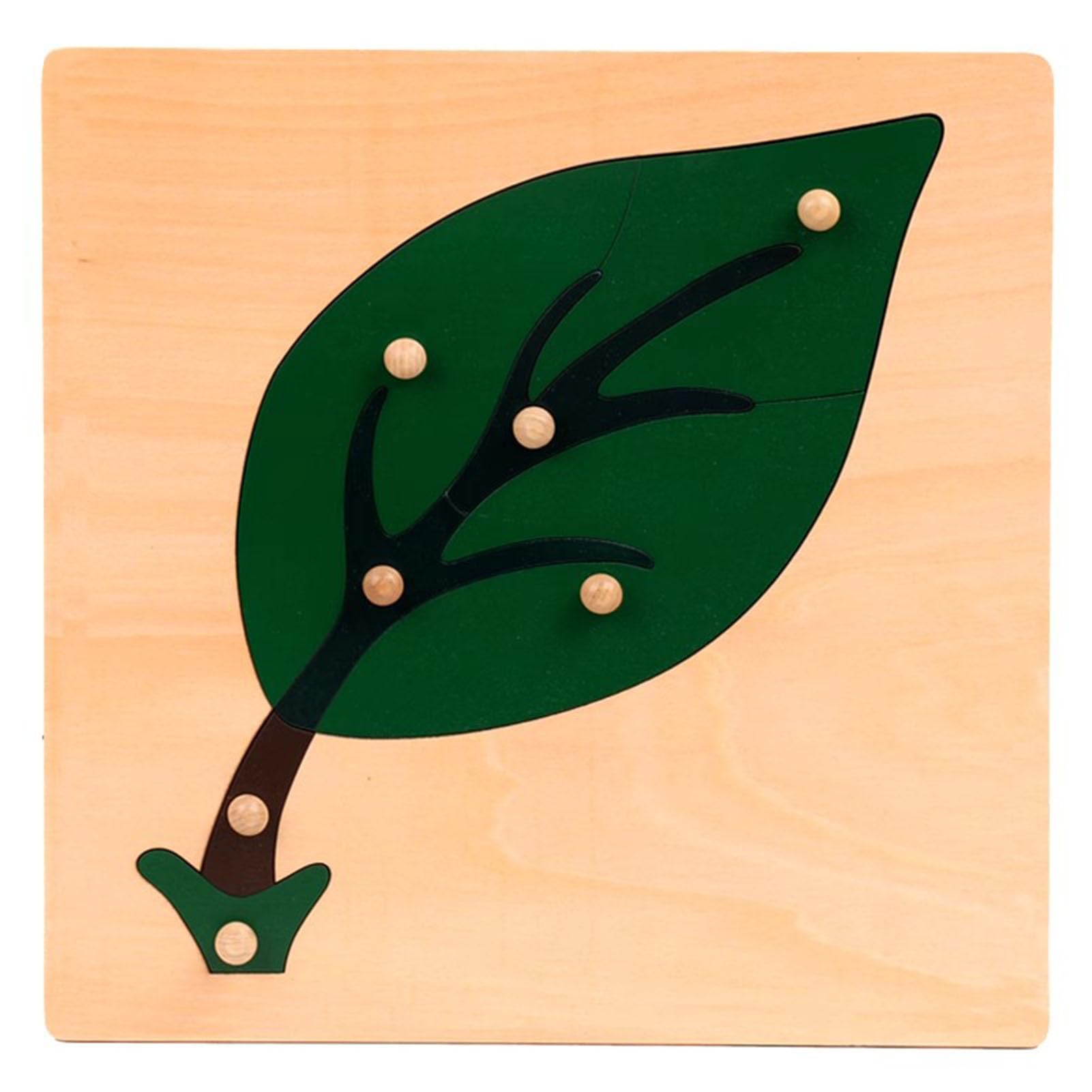 Juego de Rompecabezas de Paneles de Madera de Plantas Montessori, Rompecabezas de educación Infantil (3 Piezas)