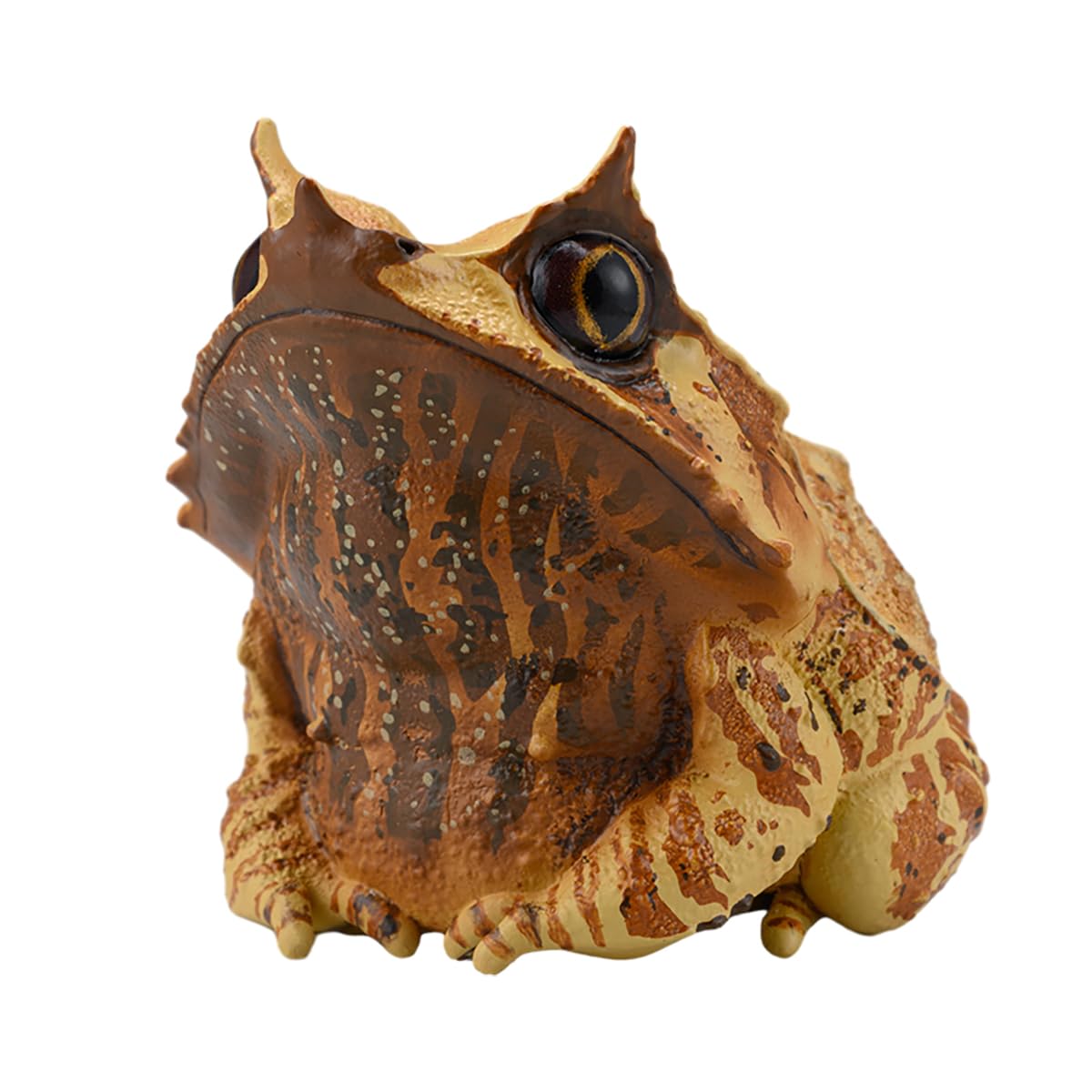 IFiDEA Animal Heavenly Body Series 20 Frog Chubby Collectible Miniature - Anuran Statue for Home Office Decor, Realistic Amphibian Sculpture (Megophrys nasuta - Long-Nosed Horned Frog)