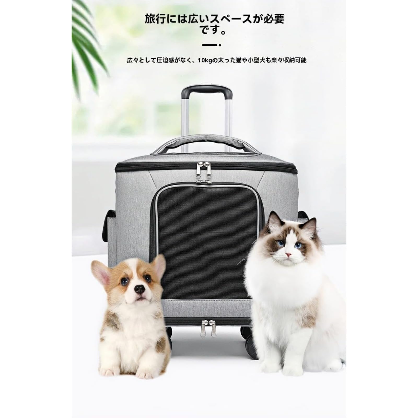 Amazon.co.jp: KuBen 通気メッシュ 避難・新幹線対応 頑丈で爪傷に強い