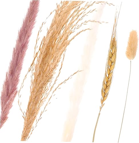 Miniatura 2 de HANABASS 50 adornos de mesa de relleno decoración de pampas secas arreglo de colas de habitación arreglo decorativo de hierba conejito flores ramo