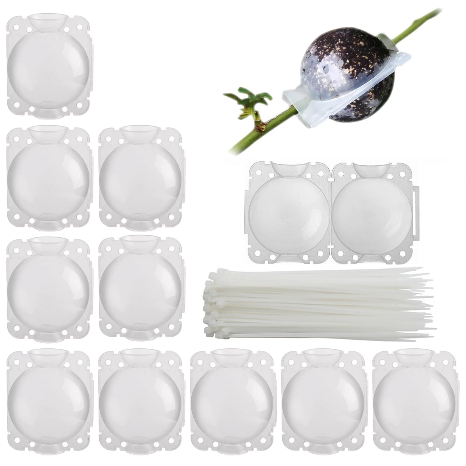 Tkxjry Plant Root Box, Reusable, Plant Root Device, High Pressure, Plant Root Transplanting Box, for Plant Propagation, Reasable Propagation Rooting Ball (Pack of 10, 5 cm)
