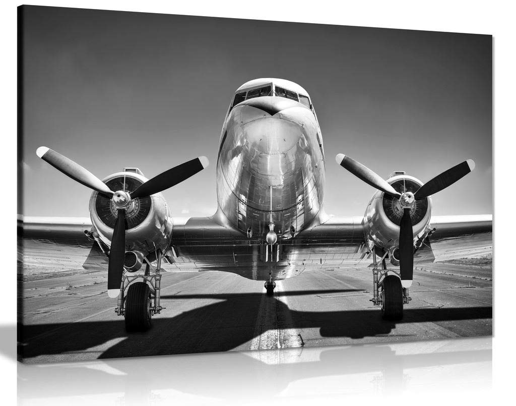 Panther Print Unicorn & Princess Vintage Black & White Shiny Airplane Canvas Wall Art Picture Print (18X12)