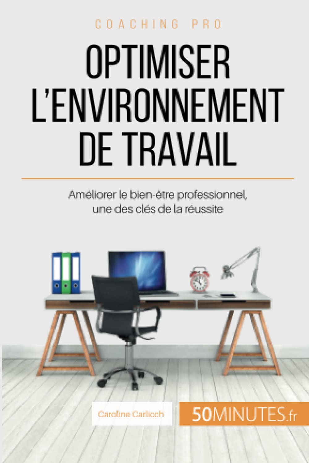 Optimiser l'environnement de travail: Amliorer le bien-tre professionnel, une des cls de la russite