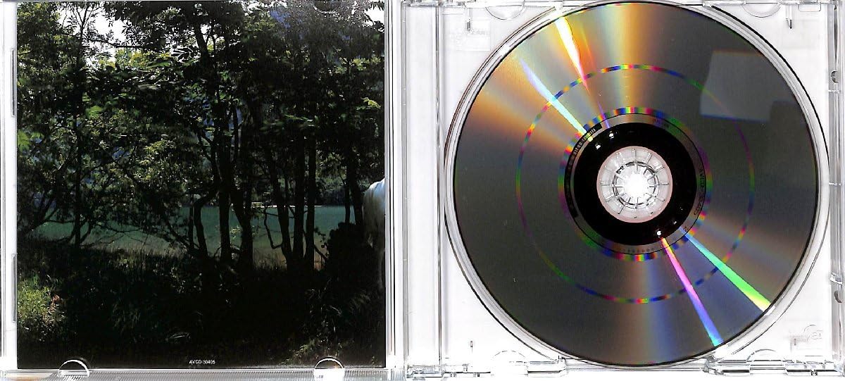 Amazon.co.jp: CCCD□浜崎あゆみ□Voyage□CD-30405 : おもちゃ