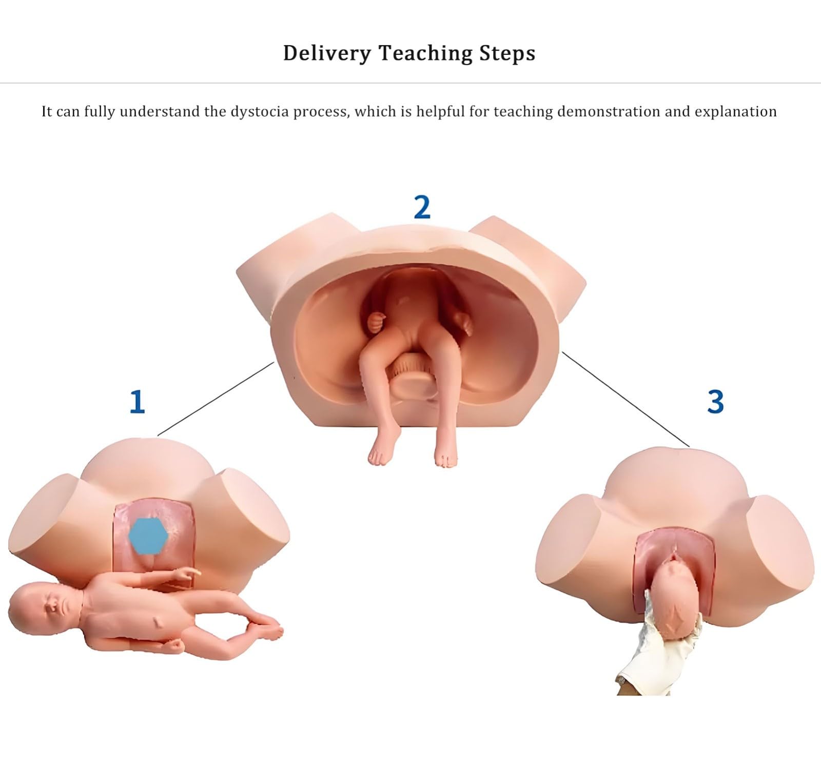 Simulateur de formation à la pratique de l'accouchement : Modèle d'entraînement à l'accouchement ; Variations de la position fœtale pour l'enseignement des techniques d'accouchement normales et anorma