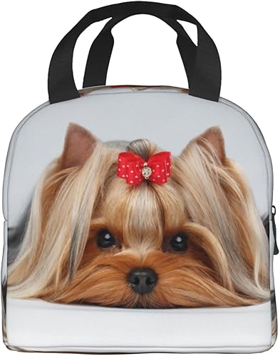 Miniatura 3 de Lindas bolsas de almuerzo para perros para mujer, reutilizables, aisladas, enfriadoras, para el trabajo, picnic, oficina, viajes, playa