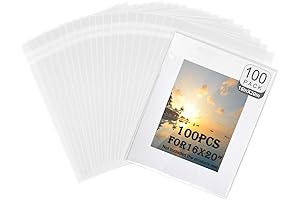 Acid-Free Plastic Sleeves - 100 Pack Crystal Clear Sleeves For Art Storage And Protection