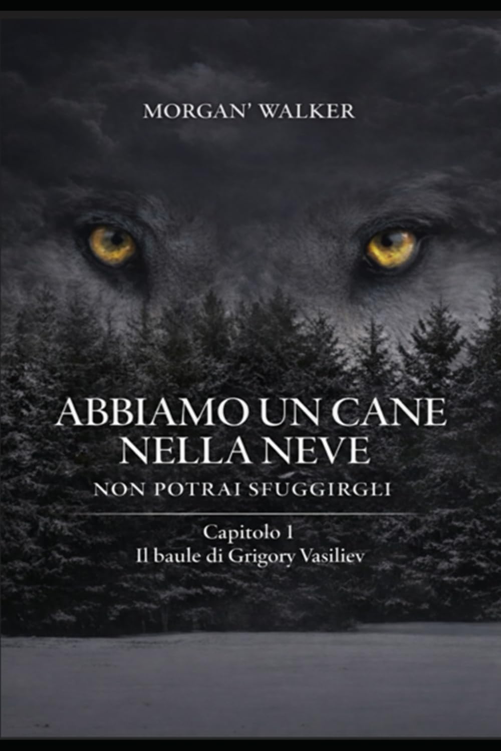 Abbiamo un cane nella neve, Non potrai sfuggirgli!: Capitolo 1 Il Baule di Grigory Vasiliev.