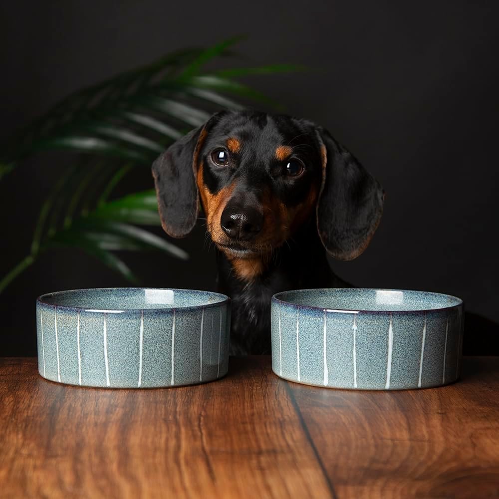 Scruffs Ceramic Heavy Duty Reactive Glaze Pet Bowls – 2pc Set – Grey Pinstripe – 13cm Scruffs Ceramic Heavy Duty Reactive Glaze Pet Bowls – 2pc Set – Grey Pinstripe – 13cm