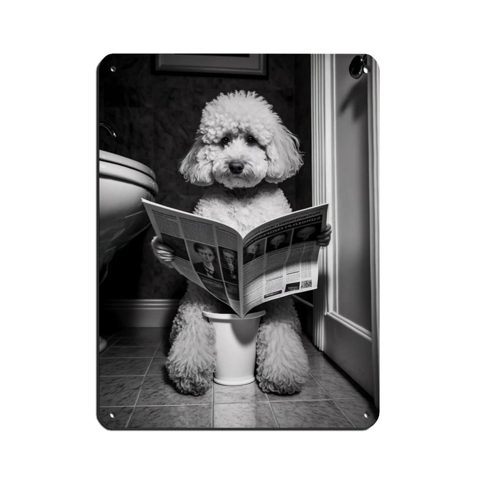Poodle Sitting on The Toilet Reading A Newspaper Tin Sign Vintage Metal Pub Club Cafe Bar Home Wall Art Decoration Poster Retro 12x16inch(30x40cm)