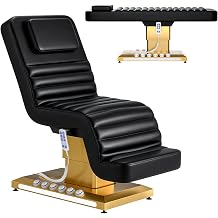 Fully Electric Lift Professional Massage Table with 3 Molds for Esthetician, Physical Therapy Table with Adjustable Backrest & Legrest Treatment & LED, Physical Therapy, Spa Black / 28'' x 73''