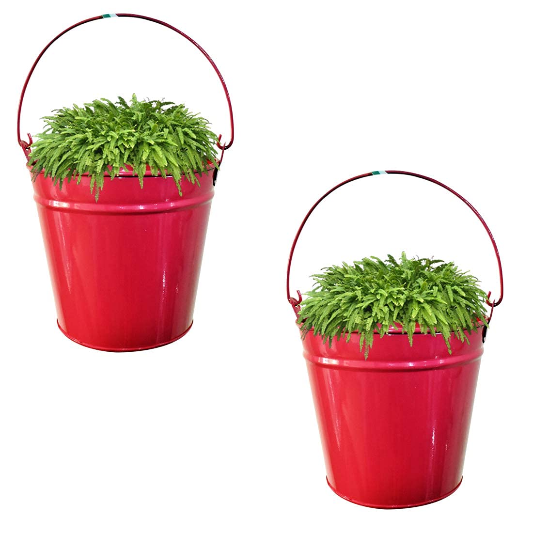 DecorscentAscent Homes Pail Bucket Galvanized Metal Hanging Planter, 23 cm (Pink)