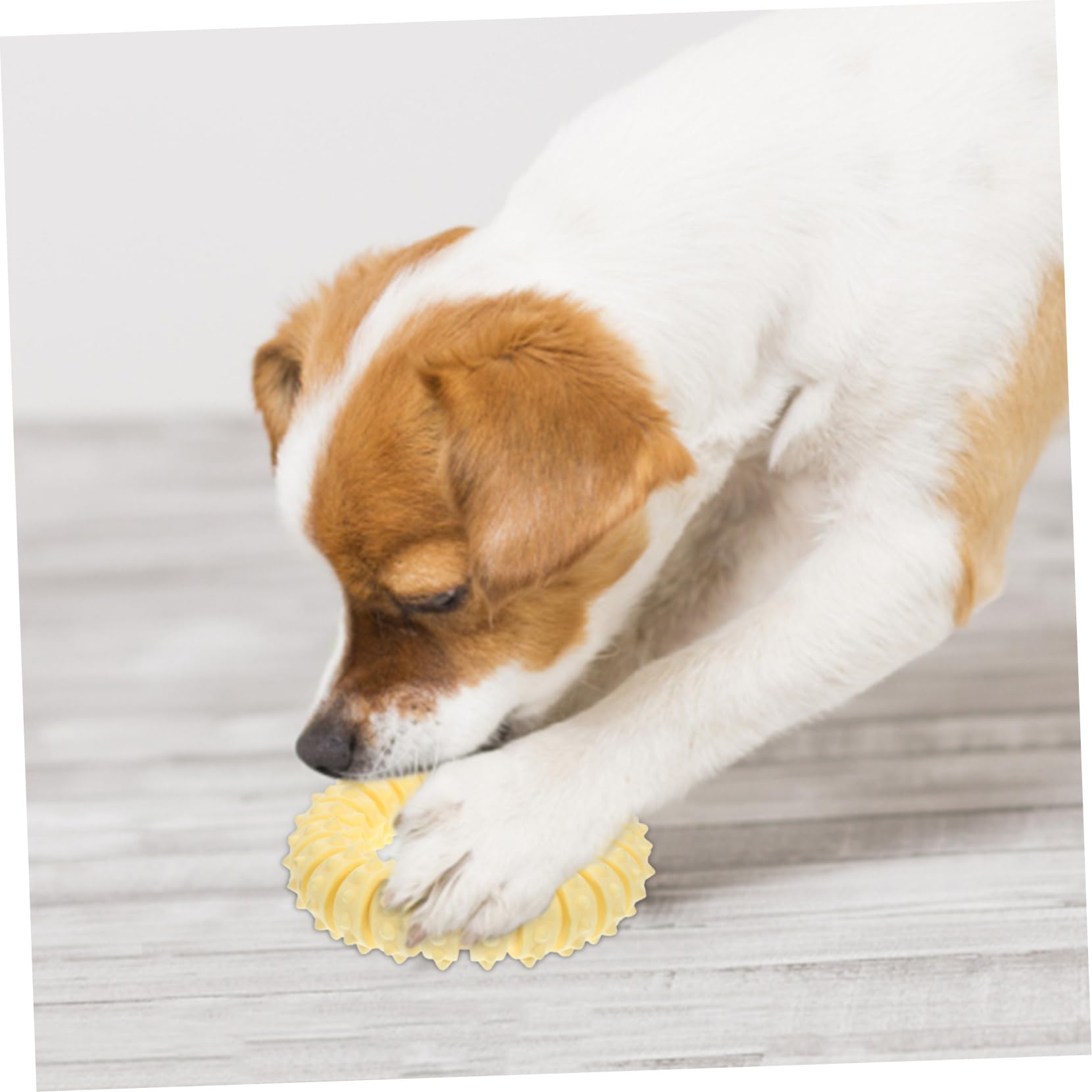INOOMP 3pezzi Giocattolo Da Masticare Per Cani Anello Morbido Per Cuccioli Stimola Gioco e Crescita Sana Attività Intelligente Giocattolo Indistruttibile Per Teething e Snack