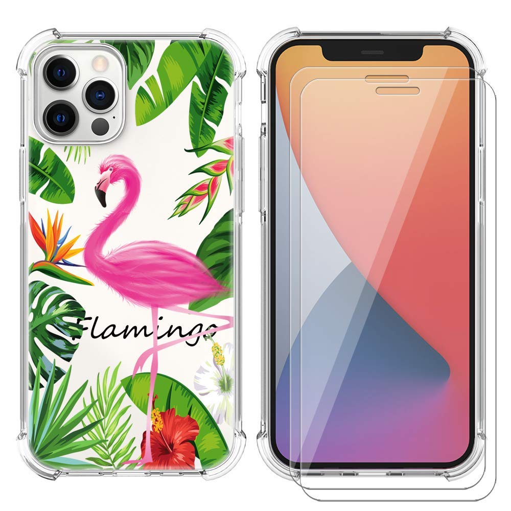 AIPNIS Compatible with iPhone 12 Pro Max 6.7 inch with Glass Screen Protectors (2 Pack), Clear Soft TPU Shockproof Bumper Protective Cover for iPhone 12 Pro Max Case