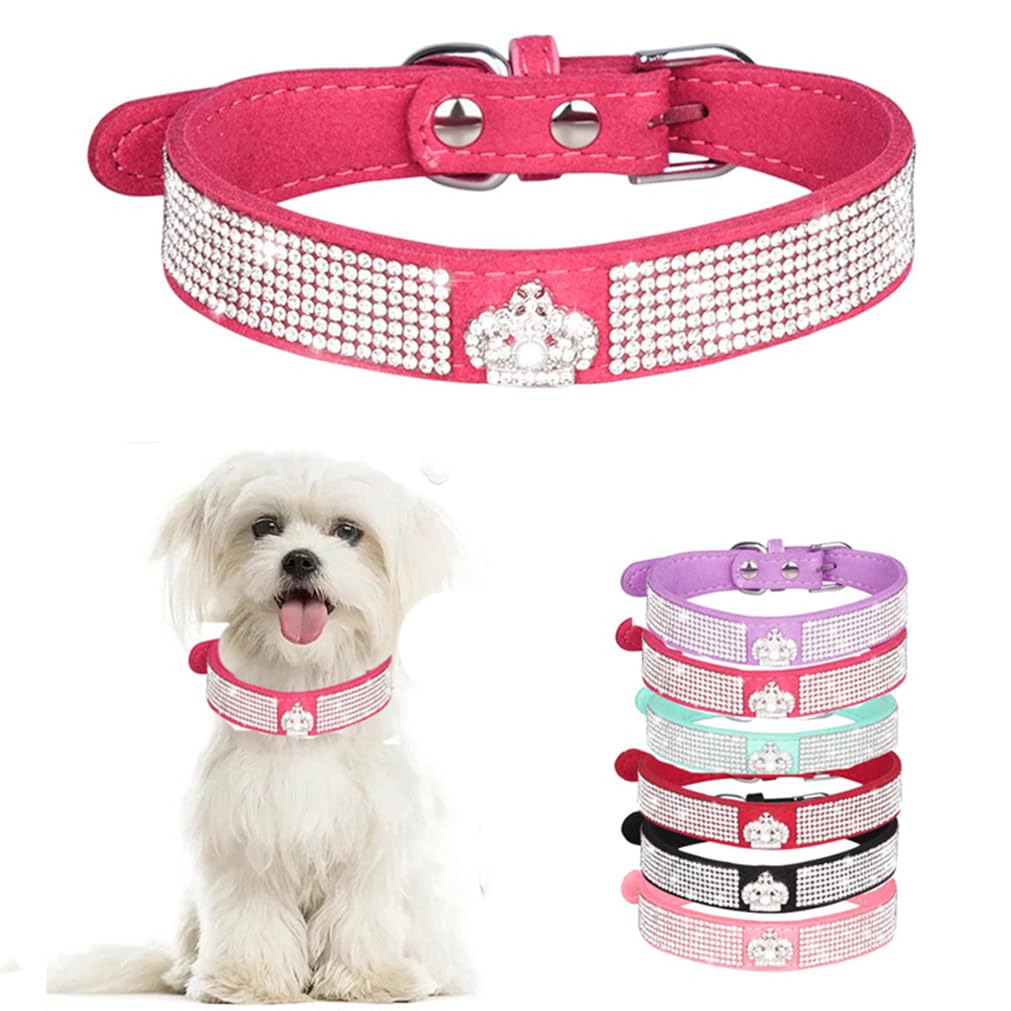 Collier pour chien avec strass brillant pour les balades de votre chiot