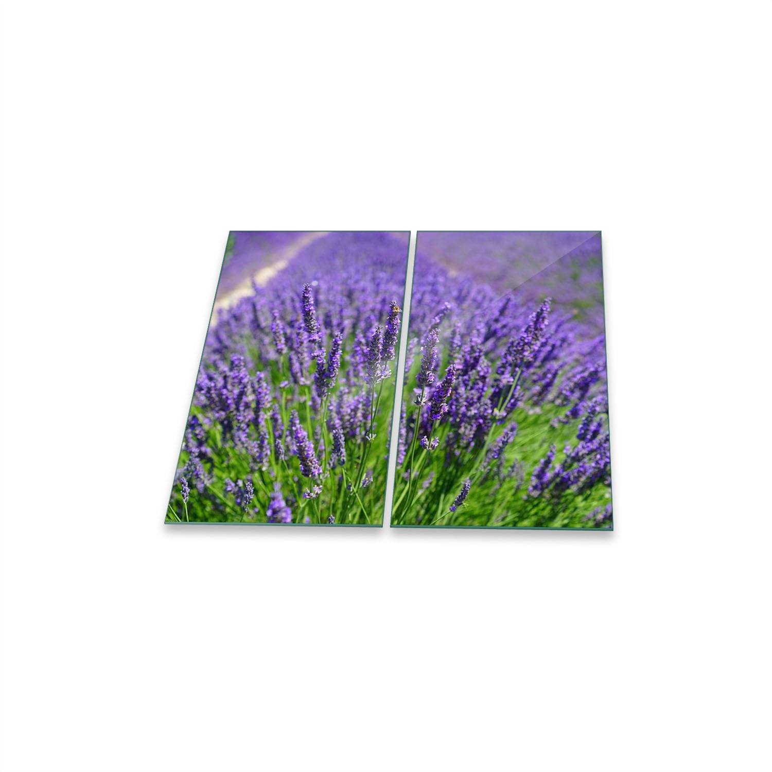 Decorwelt Herdabdeckplatte 2x30x52cm - Sicherheitsglas Mit Pusteblume Design