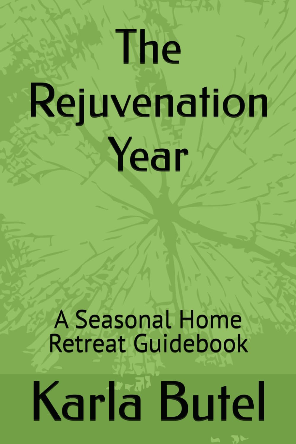 The Rejuvenation Year: A Seasonal Home Retreat Guidebook (The Rejuvenation Series – Home Retreats for Rest, Renewal, and Inner Balance)