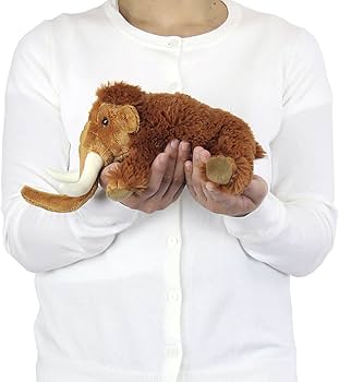 61SK6M27wOL._AC_UF350,