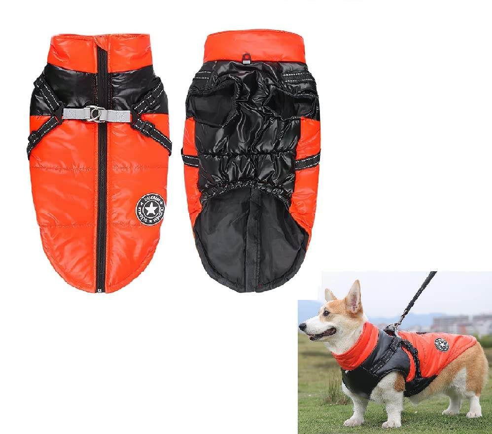Chaqueta Impermeable Invierno, ACTOYS Perro Chaqueta, Abrigo Mascota Pequeño Mediano, Cálido Chaleco Perros, Prueba de Viento Chubasqueros Perro (S)
