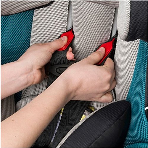 Evenflo Triumph LX Convertible Car Seat, Everett