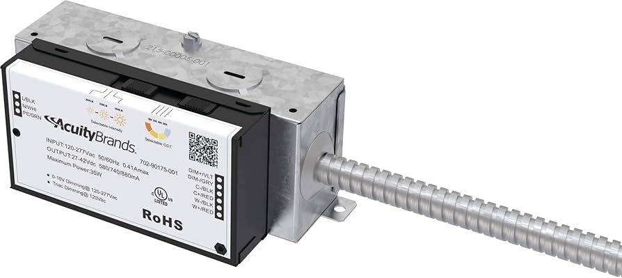 BALANSA × ALWAYTH Myloadsarelight IH5187 Alwayth adidas Originals Samba OG College Burgundy