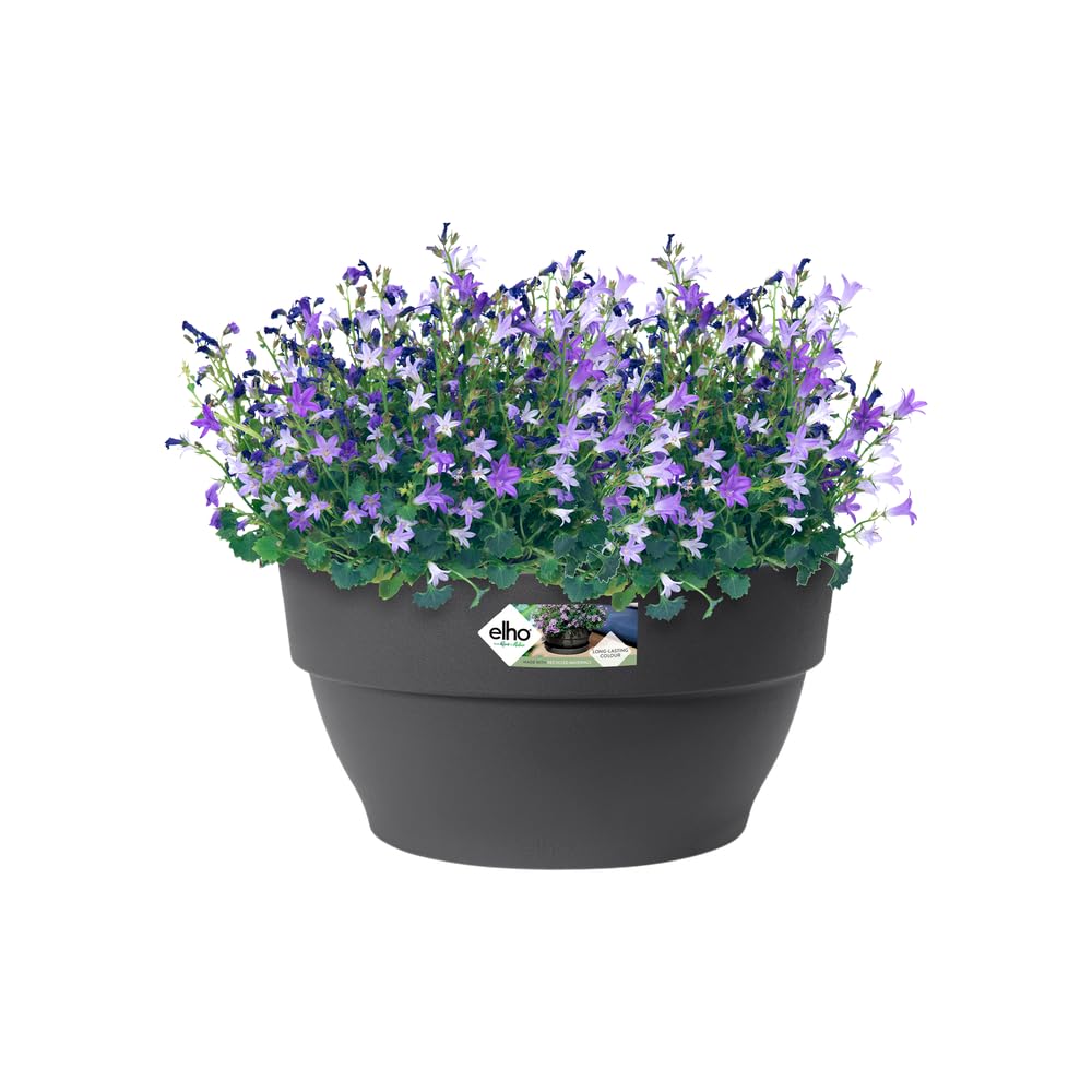 elho Vibia Campana Bowl 27 - Flower Pot for Outdoor - diameter 27.0 x H 14.0 cm - Black/Anthracite, 27 cm - Image 3