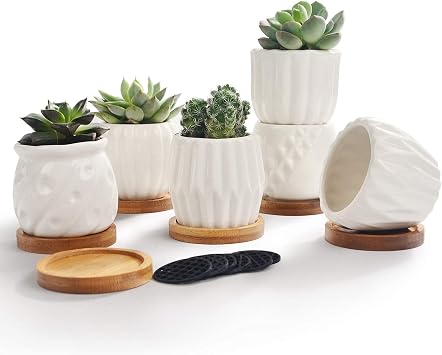B SEPOR Set of 6 White Simple Porcelain Planters for Small Plant Pots Baby Succulent Cactus with Drainage and Saucer for Home Office Decoration GiftWhite Stripes