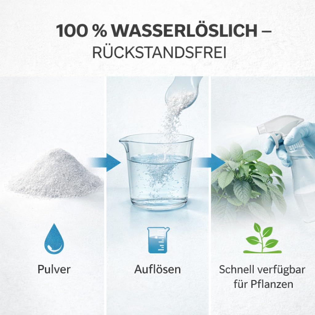 GiDeli Kaliumnitrat 25kg - Ein Universaldünger, Ideal für Blumen, Obstpflanzen und Zierpflanzen - 1 kg Dünger Reicht für 60 m² - Pflanzendünger, der die Immunität und das Wachstum verbessert