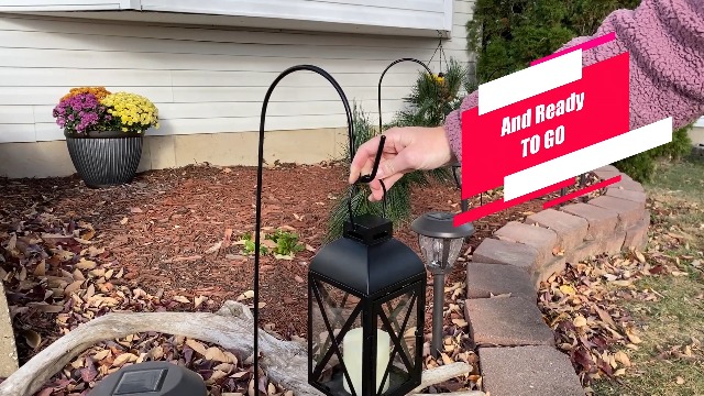 Amazon.com: Ashman Shepherd's Hooks 35 Inch (12 Pack), Black, Made