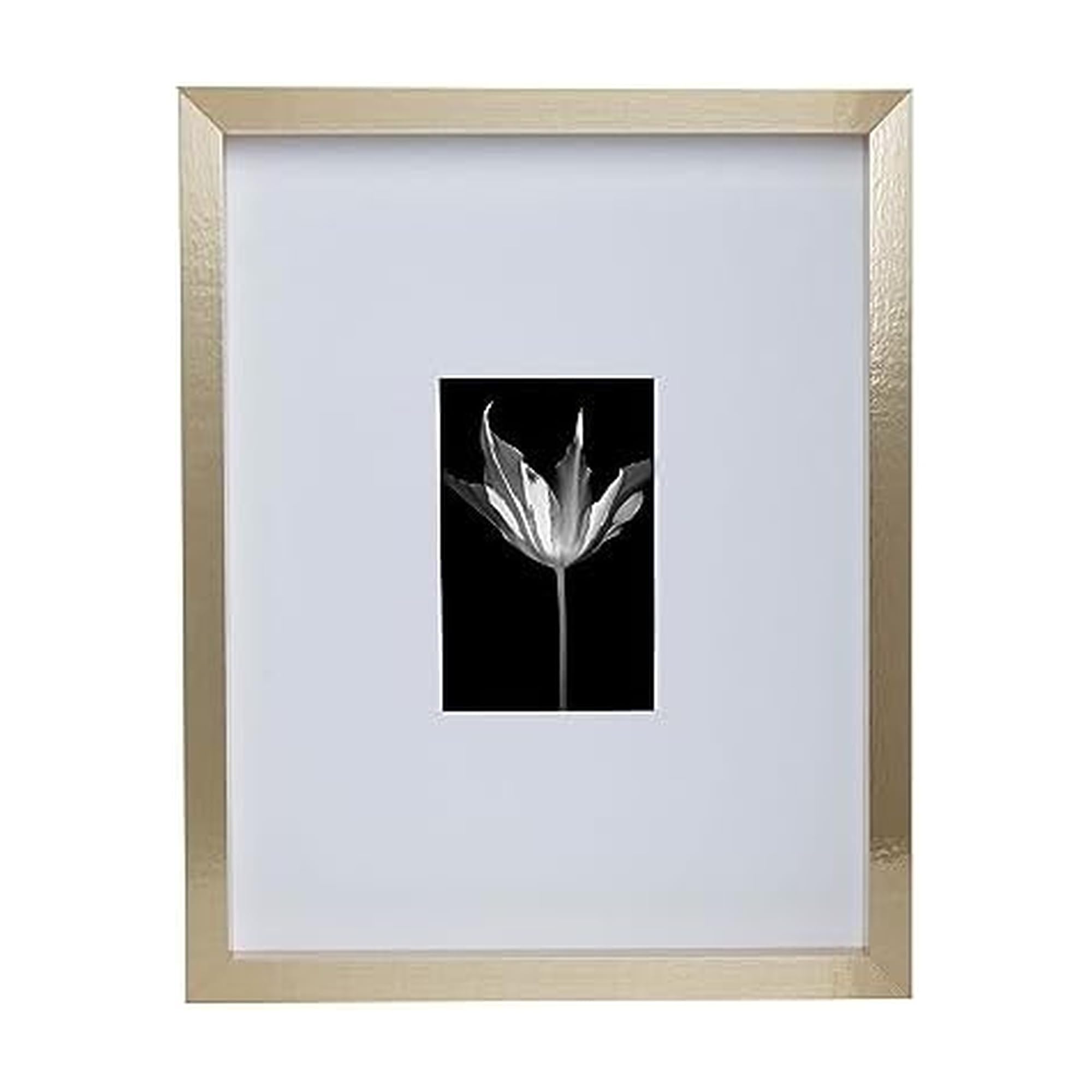 Amazon.com - Mikasa Wood Gallery Wall Frame, 11x14 Matted to 4x6