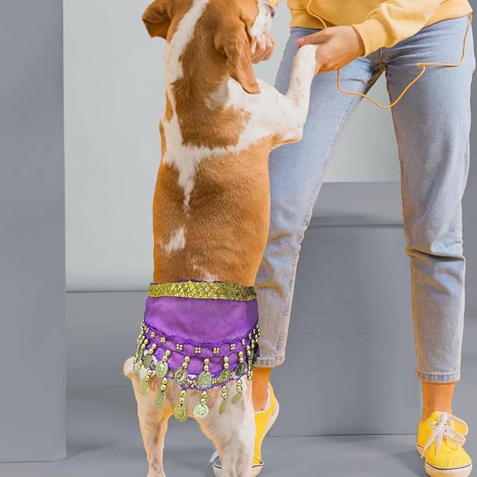 Falda de Danza del Vientre para Perro 2 Piezas miniatura 2