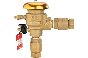 1" Febco 765 Vacuum Breaker with SentryPlus Freeze Sensor