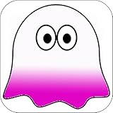Ghost Detector Camera