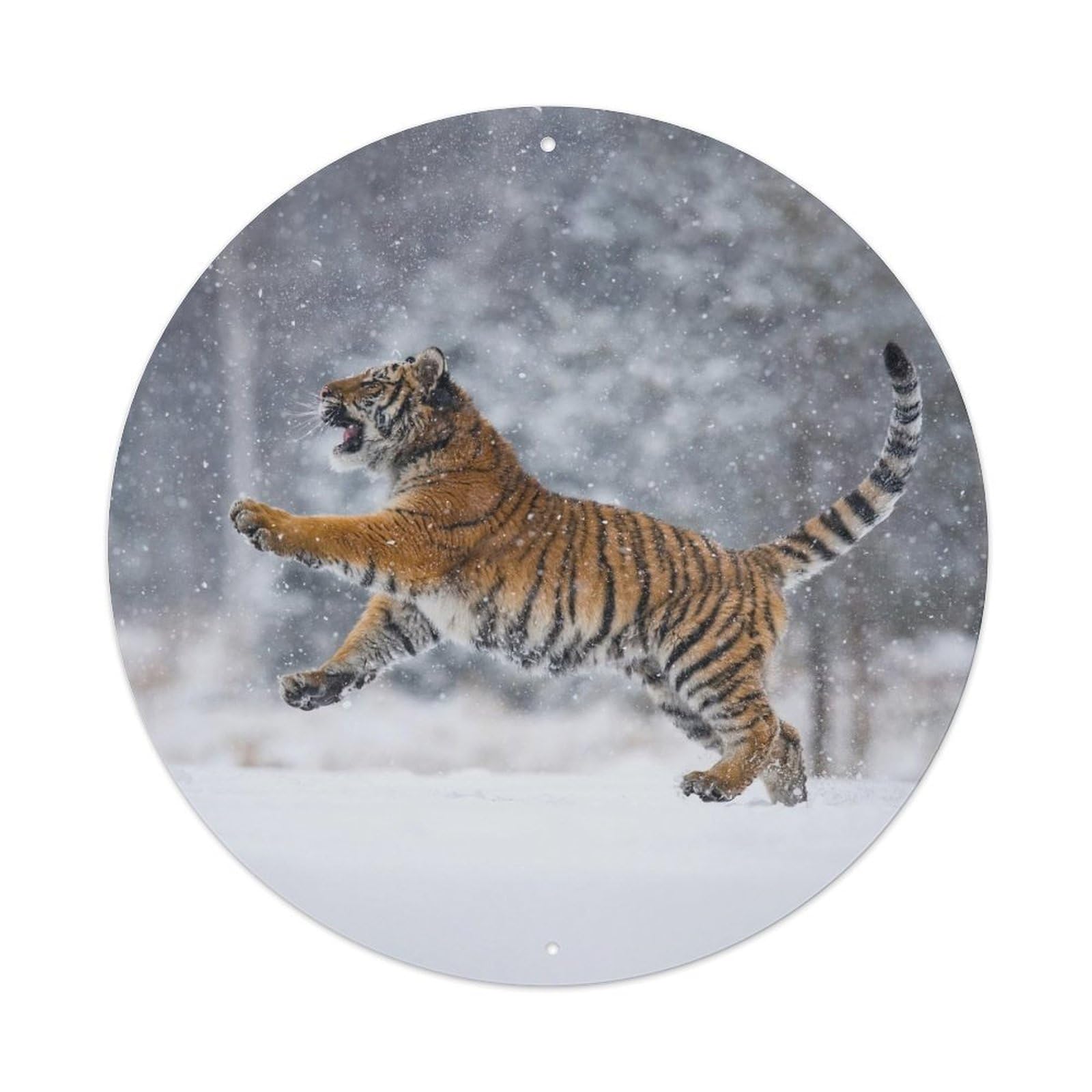 Tiger Winter Snow Wildlife Predator Classic Metal Tin Sign