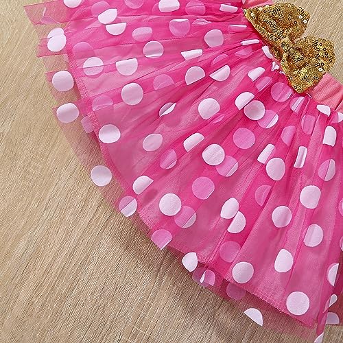 Baby Girl 1yr/2yr Birthday Dress Cotton Bodysuit TuTu Skirt Cute Set with Sequins Bow Headdress 3 Pieces4