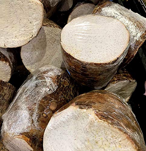 Kejora Fresh Malanga Coco / Big Taro Roots 6 Pound thumb #1