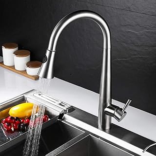 Robinet d'évier de cuisine rétractable Deux sorties Robinet mélangeur rotatif monocommande en acier inoxydable brossé