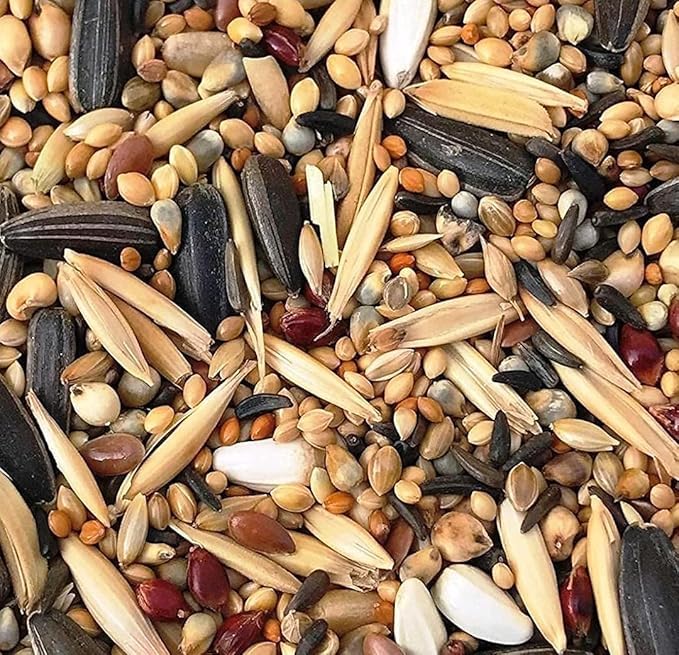 Image of R.S. Birds & Grains Mix Seed Bird Food |Cockatiel & African Lovebird Bird Food | Daily Bird Feed Seed Mix 1000gm