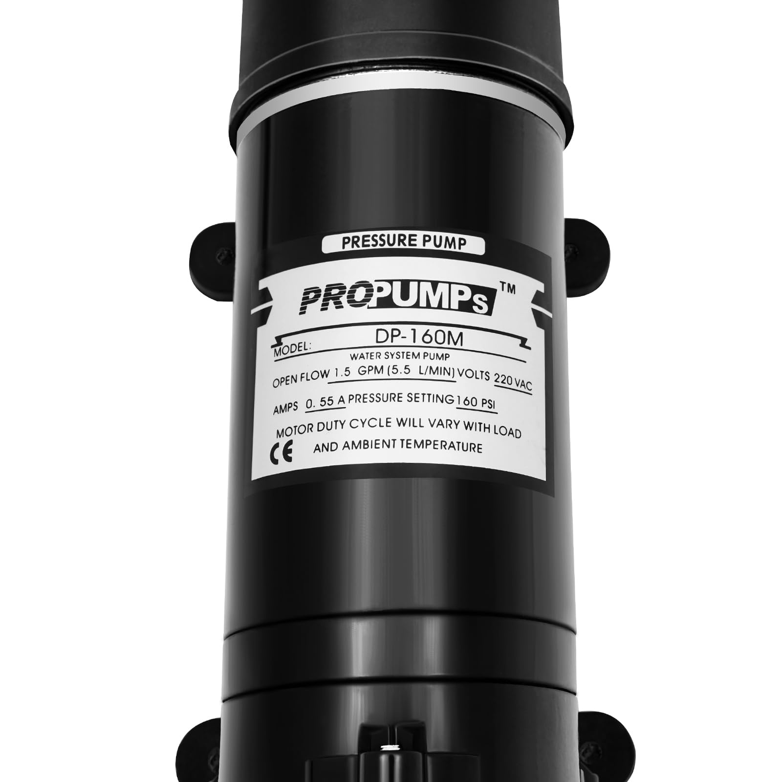 Pompe à eau 220 V DP-160S 110 V - Diaphragme haute pression
