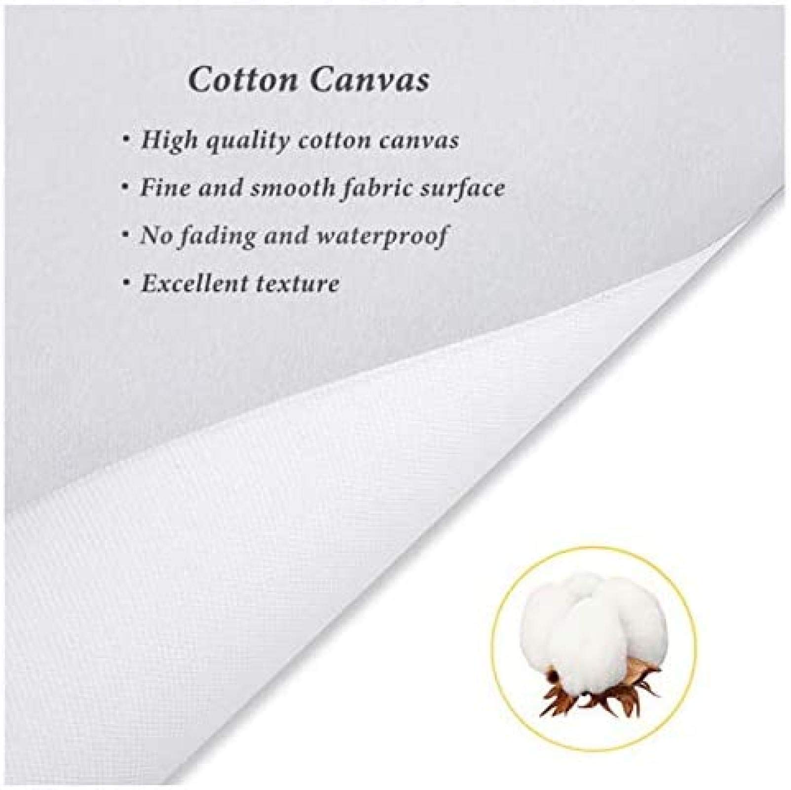 SHSYFBH Pittura Moderna Astratta Divertente Scimmia Stampa Poster e Stampe Animali Scimmia Wall Art Immagini per Soggiorno Decorazioni per la casa 3 Pezzi 20x30 cm Senza Cornice