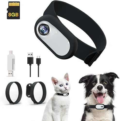 Collar de cámara para gatos con tarjeta SD de 8 GB, HD 1080P collar de perro, mini cámara corporal de acción, cámara inalámbrica para perros, gatos,