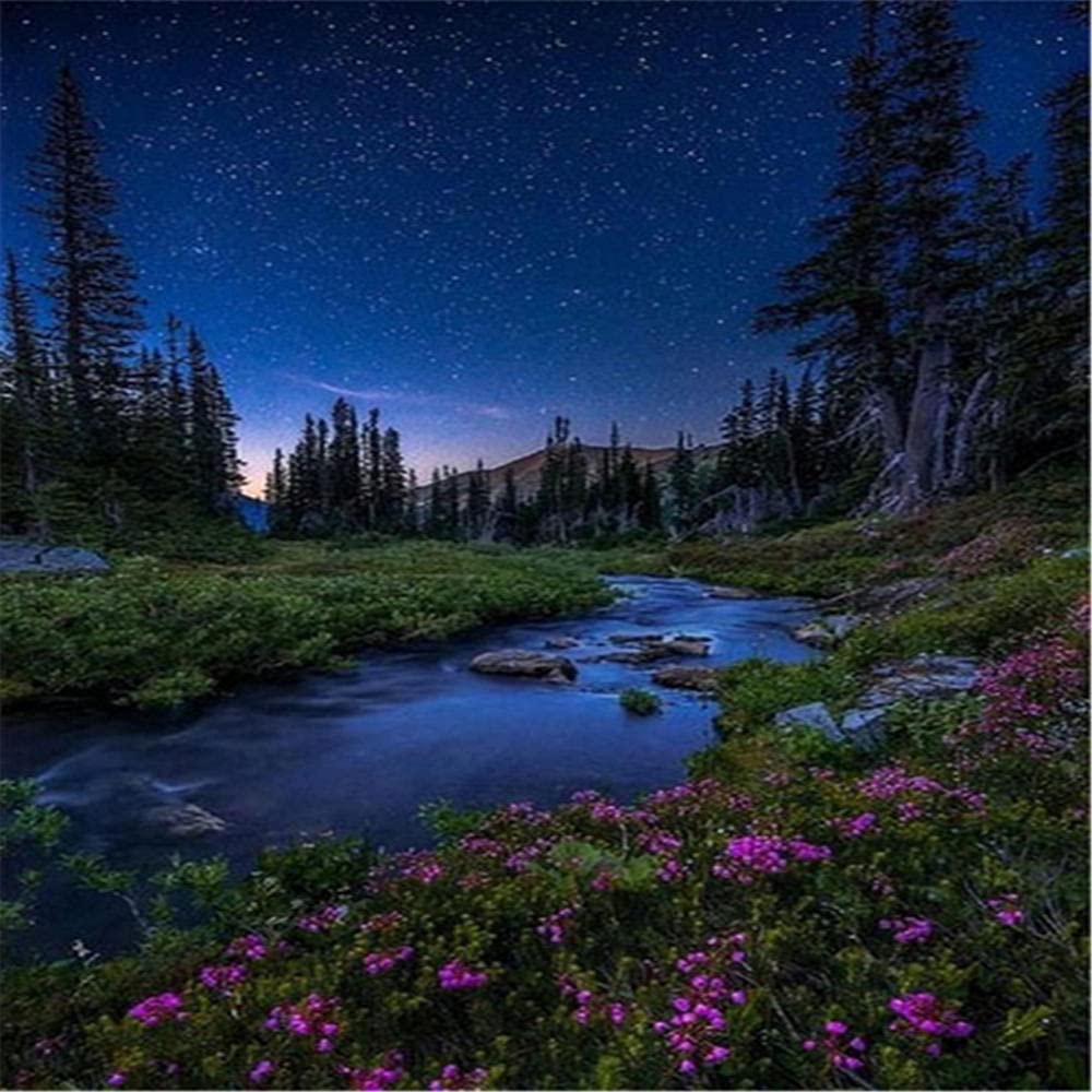 Jigsaw Puzzles, 500 Piece Puzzles for Adults and Kids Starry sky500 Piece Puzzle Jigsaw Puzzle Jigsaw Puzzle Game Toys Gift