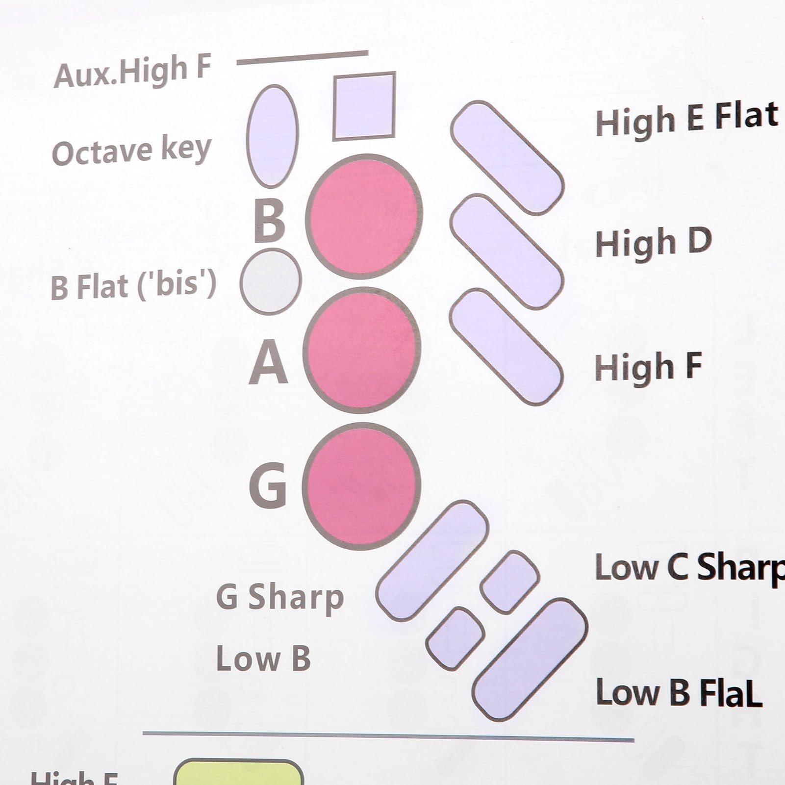 Tableau de Doigté de Saxophone, Guide de Base avec Diagrammes D'accords Universels, Papier Couché Portable, Stockage sur Tube de Papier Long