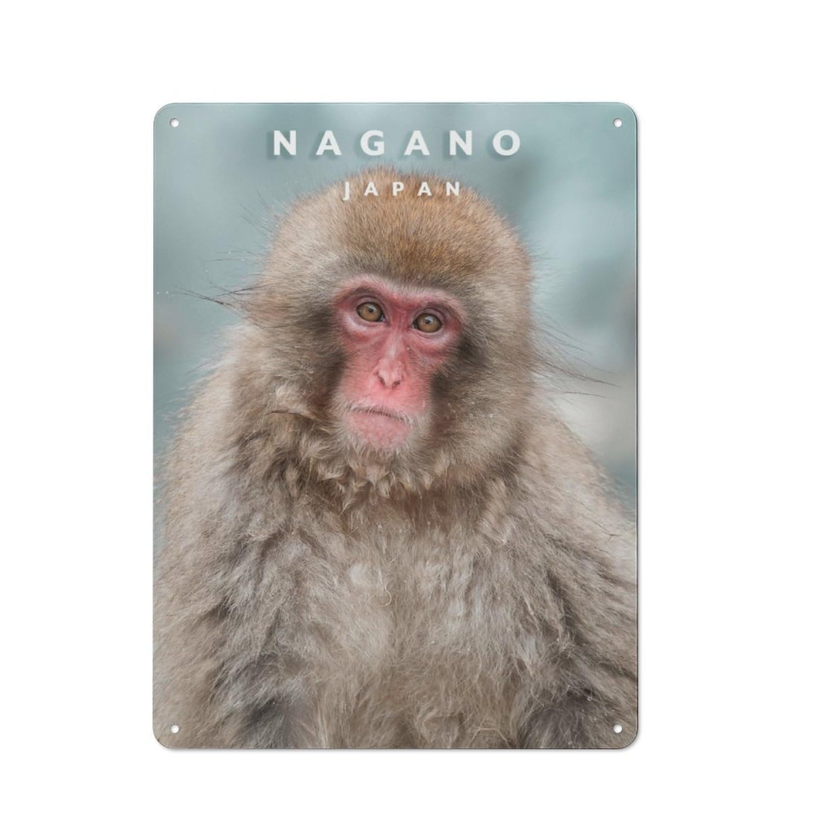 Junmoney Nagano Monkey Tin Wall Plaque 40X30cm With For Studio Or Craft Room, For Metal Sign Collectors, For Kitchen And Home Bar Decor