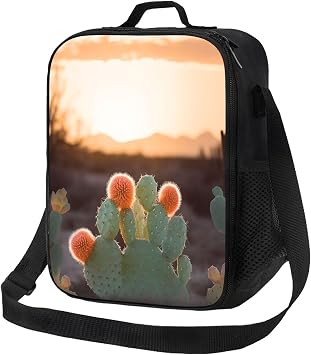 Insulated Lunch Bag Sunset Cactus Lunch Box for Women Men Reusable Leakproof Lunch Cooler Tote Bag for Picnic Work