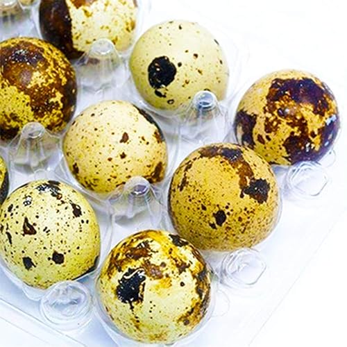 Miniatura 6 de Cajas de plástico para huevos de codorniz, paquete de 50 unidades de 12 rejillas para almacenamiento de huevos de codorniz, faisán, paloma