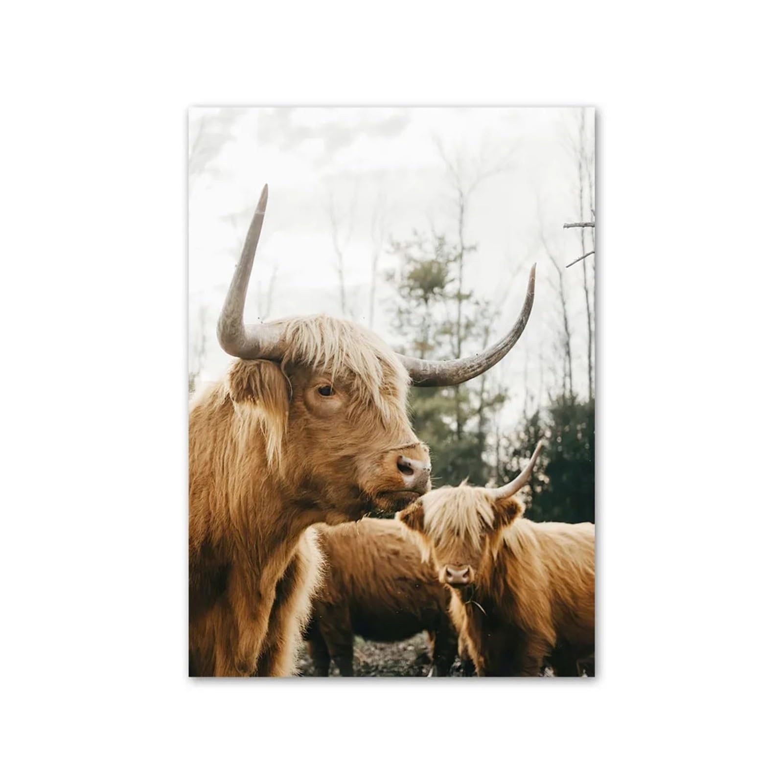 1pc Farmhouse Highland Cow Wall Art Neutral Animal Prints Grass And Sand In Hands Posters For Living Room Decor(C,A4 21X30cm No Framed)